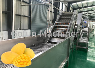 SUS 316L Maszyna do przetwarzania soku z dżemu mango 10 - 100T / D Serwis pod klucz