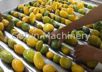Przemysłowe 20 T / H Mango Processing Line Rozwiązanie pod klucz Certyfikat ISO9001